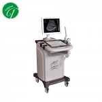 DP-2018CII Trolley Ultrasound Scanner