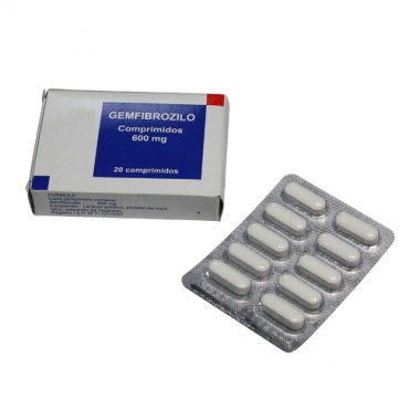Gemfibrozil Tablets / Capsules