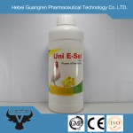 Vitamin E Selenium/ Vitamin E+Se Oral Solution with Hot Price