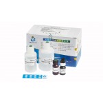 SpermFunc® TP - Kit for determination of Protein Tyrosine Phosphorylation of Capacitated sperm