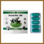 Veterinary Albendazole Bolus Tablet 300mg