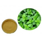 Natural Plant Peppermint Leaf Extract Powder Mint Extract