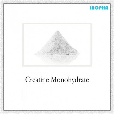 Creatine Monohydrate Bulk