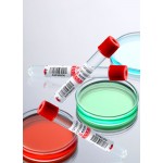 No additive Vacuum Blood Collection Tubes