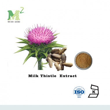 Supply 70%-80% Silymarin/75%-98% Silybin from Milk Thistle Extract