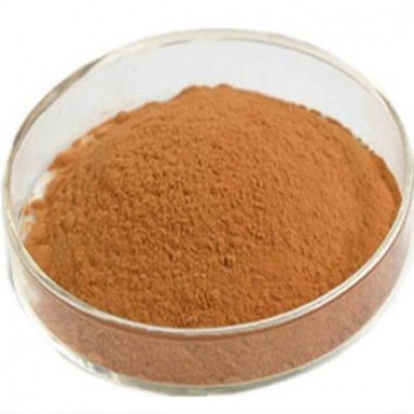 nature rhodiola rosea extract // rhodiola rosea high quality and best price