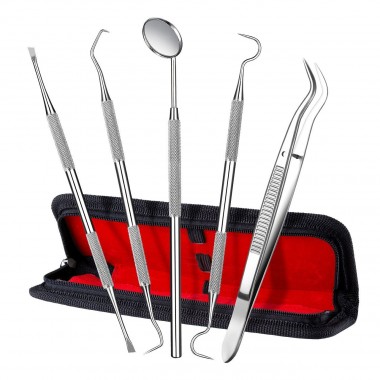 Dental Tools, 4 + 1 Dental Hygiene Kit Dental Care Kits, for Home Oral Care Personal Use with 1X Stainless Steel Dental Pick