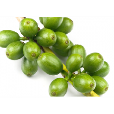 Coffee bean Extract 60%(Coffea robusta)