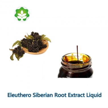 Eleuthero (Eleutherococcus Senticosus) Siberian Ginseng Liquid Extractum