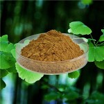 Ginkgo Bioloba L. Extract