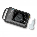 DP-3018H handheld veterinary ultrasound with waterproof probe and competitive price