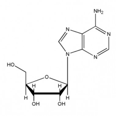 Adenosine free base (AR)