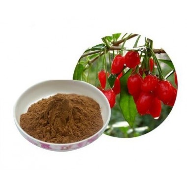 Natural Wolfberry Extract Powder Goji Berry/ Lycium Extract