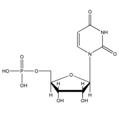 Uridine 5'-monophosphte (UMP-H, CAS No.58-97-9)