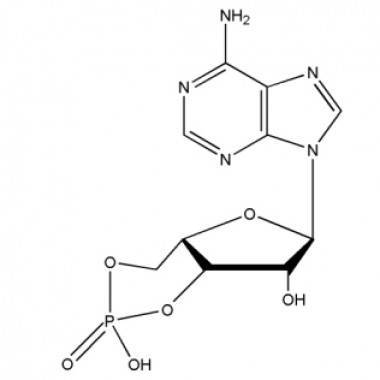 Adenosine 3',5'-cyclic monophosphate (cAMP, CAS No.60 -92-4)