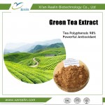 Green Tea Extract Powder Tea Polyphenol