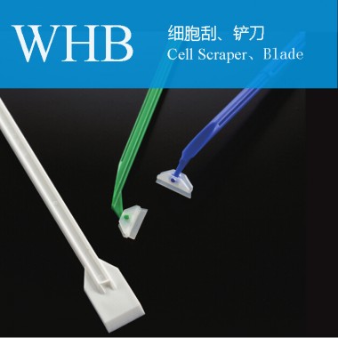 Plastic Sterile Cell Scraper with Flexible Blade Head for Lab