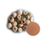 Natural Ternate Pinelliae Extract Powder