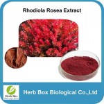 Rhodiola Rosea Extract Rosavins, Salidroside, Rosavin