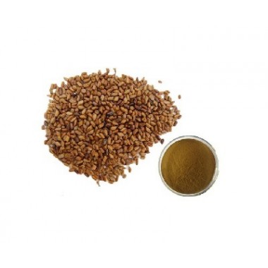 Cassia Seed Extract Powder Obtuseleaf Senna Seed Extract Plant Extract