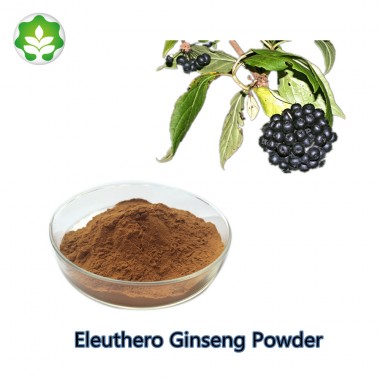 cost-effective tonic for health siberian ginseng powdered