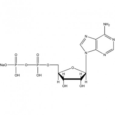 Adenosine 5'-diphosphate monosodium salt (ADP-NA, CAS 20398-34-9)