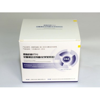Carcinoembryonic Antigen Quantitative Detection Kit(Chemiluminescent Immunoassay)