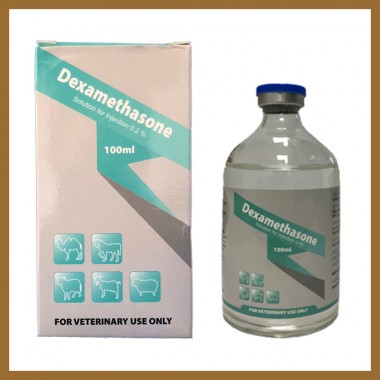 Vaterinary Dexamethasone Solution for Injection 0.2%
