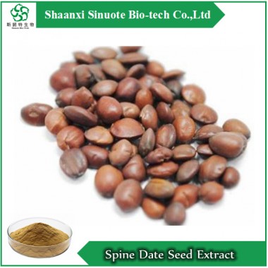 Spina Date Seed Extract,  Seed of Zizyphus jujuba Mill