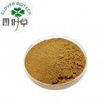 Korean Red Panax Ginseng Root Extract Powder