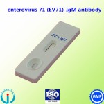 CE certification Enterovirus 71 rapid test/EV71 rapid test