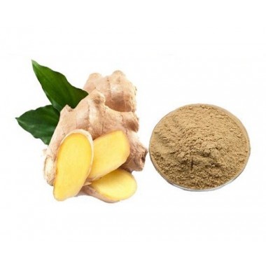 Natural Ginger Extract Powder CAS No. 84696-15-1 Plant Extract