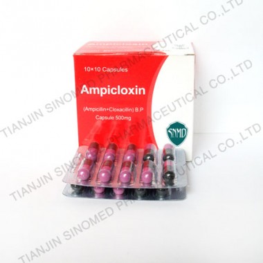 Ampicillin + Cloxacillin