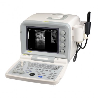 KX2000G full digital veterinary ultrasound& ultrasound machine for animals