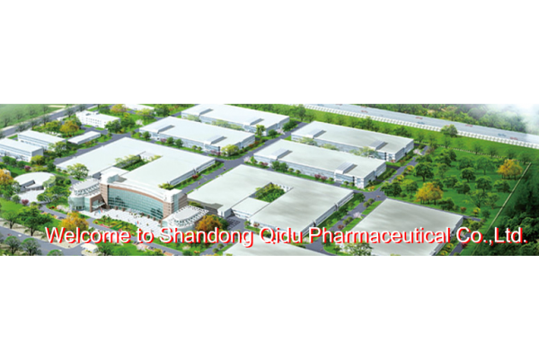 Shandong Qidu Pharmaceutical Co.,Ltd.