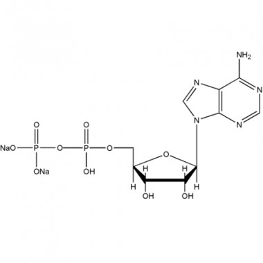 Adenosine 5'-diphosphate disodium salt (ADP-NA2, CAS No.16178-48-6)