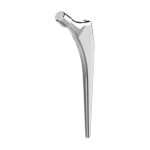 Femoral Components