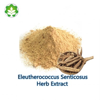 eleutherococcus senticosus herb extract powder form for healthcare products