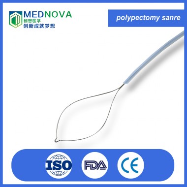 Disposable endoscope polypectomy snare