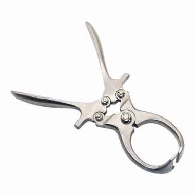 Sheep Castrating Forceps