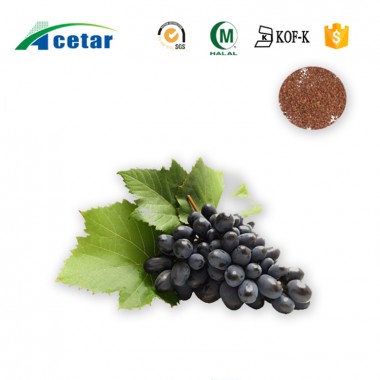 Grape Seed Extract(95% OPC)