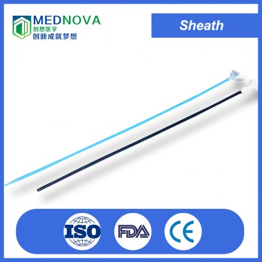 Medical hydrophilic coated ureteral access sheath for ureter sugical