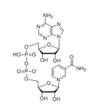 β-Nicotinamide Adenine Dinuclotide