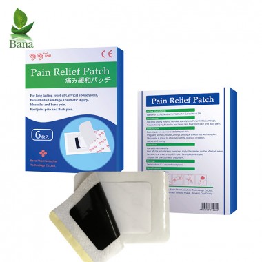 Chinese Herbal Pain Relief Patch Without Side Effects