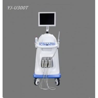 Abdomen Color Ultrasound Scanner Medical Equipment Ultrasound