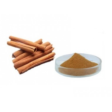 Natural Cinnamon Bark Extract Powder Cortex Cinnamomi Cassiae