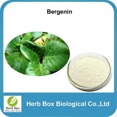 Natural Bergenin purpurascens extract