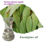 Plant extract pure eucalyptus oil for medical usage