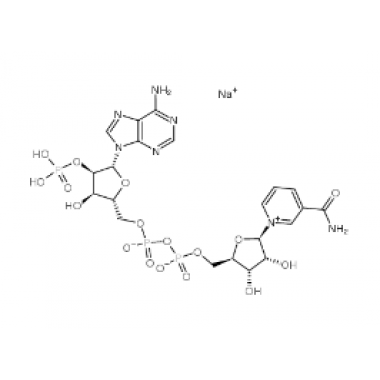 β-Nicotinamide Adenine Dinuclotide Phosphate