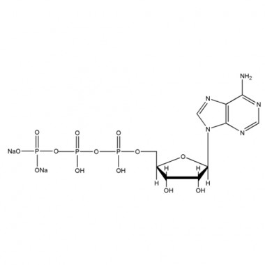 Adenosine 5'-triphosphate disodium salt (ATP-Na2, CAS 987-65-5)